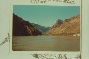 Looking back to Rapid 205