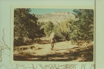 Harvey Butchart on the road in upper Granite Valley