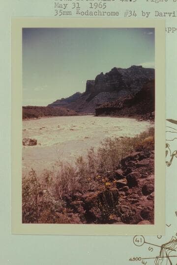 Down from Mile 41.3, right bank