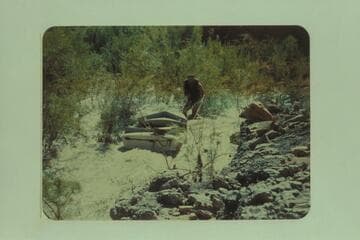 The method of lining used by Don Wimpress by going through the willows around Piute Rapid
