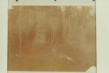 A camp of the Best Expedition after they had left the river at Lees Ferry. Photo from Edwards collection