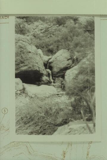 Stream in Big Canyon, a tributary of the Little Colorado. Mile 7
