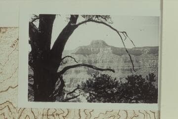 Dragons Head from Shiva Saddle