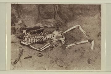 The skeleton above Paradise Canyon