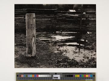 Meyer's Ranch, Yosemite