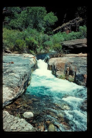 Tapeats Creek
