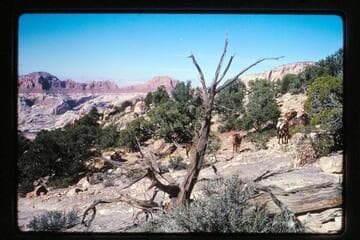 Butte 6069 from White Crag