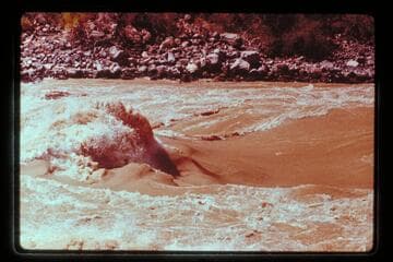 Wave; head of Vulcan