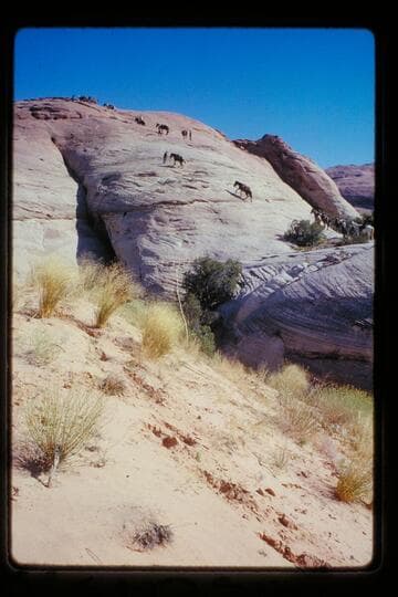 Up slick rock north of Sid Whiskers Basin