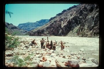 Powell action at 205