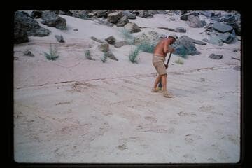 Sign on beach at The Anvil