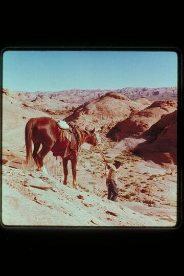 Down from divide into Little Junction Creek