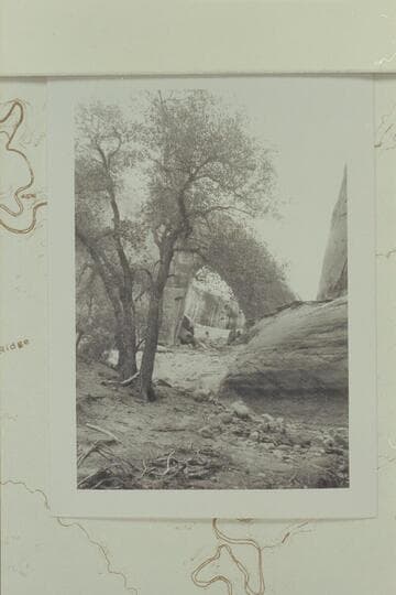 Gothic Arch or Broken Bow Arch in Willow Creek