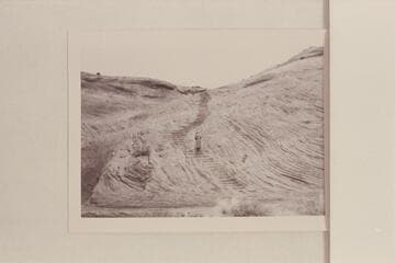 Steps near top of Schock Trail, Mile 111, right bank