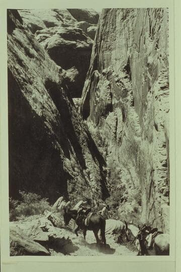 Red Bud Pass. Dropping into Cliff Canyon