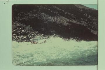 The Dubendorffs in Dubendorff Rapid