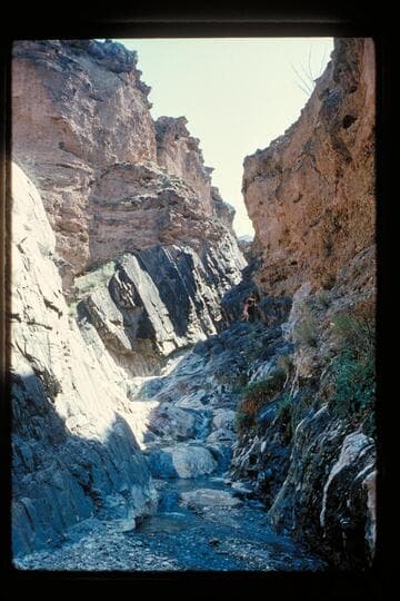 Fall in Travertine Creek