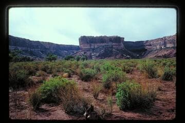Down river side Anderson Bottom