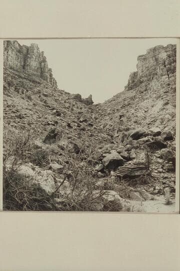 Graben on left bank and nearest the river in Red Lake Canyon.  This graben would have permitted stock to reach the bottom of Red Lake Canyon and the river but no sign of any old trail was found.  Red Lake Canyon also appears as Butler Canyon on some maps