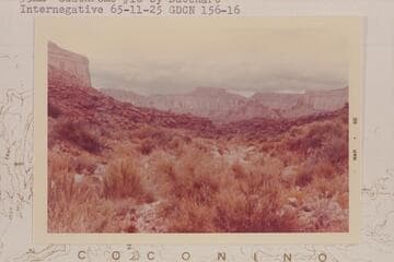 North through Driftwood Canyon.  Mt. Burro at left on skyline