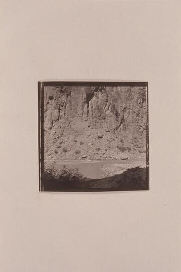 President Harding Rapid