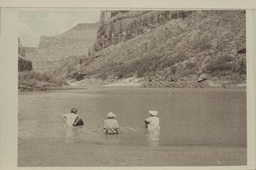 The problem of keeping cool in Whitmore; Bowling, Elbinger and Gall