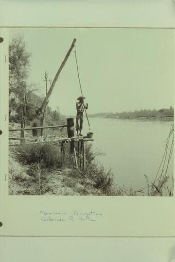 Mexican Irrigation, Colorado River delta