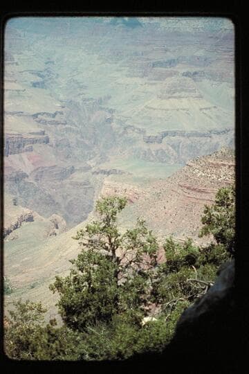 Up Bright Angel Canyon from over the South Rim. Taken when flying from Grand Canyon Airport to Kanab