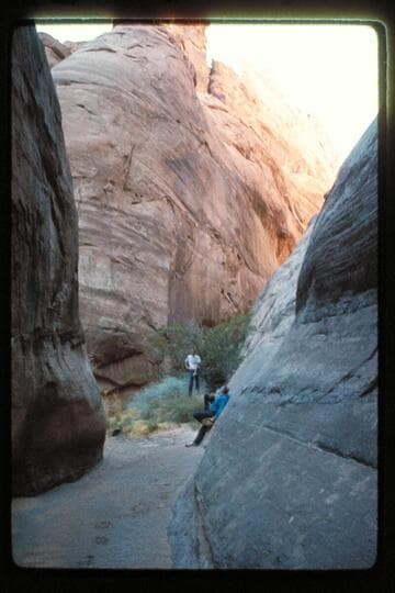 Bottom of northeast fork of 73