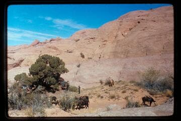 Base camp north of 73