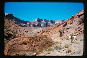 Up the road in Miller's Canyon, tributary to Halls Creek