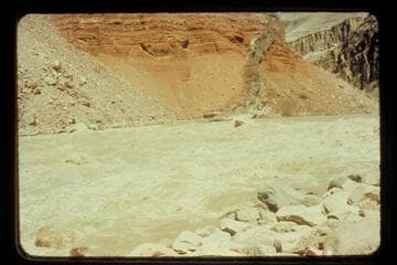 Larry, cactus; Hance Rapid