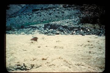 "Step In" head of Lava Falls