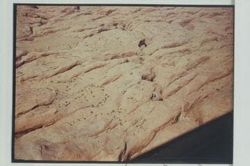 Down the drainage of side canyon at Mile 73.6 from north of Butte 6069 Rainbow. The middle fork passes diagonally from lower right to top margin left of center. South fork cuts across upper left hand corner
