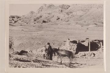 Cedar Ridge.  The foot of the Echo Cliffs.  Between Cameron and Lees Ferry.  From Charles Spencer collection, p.89, upper left