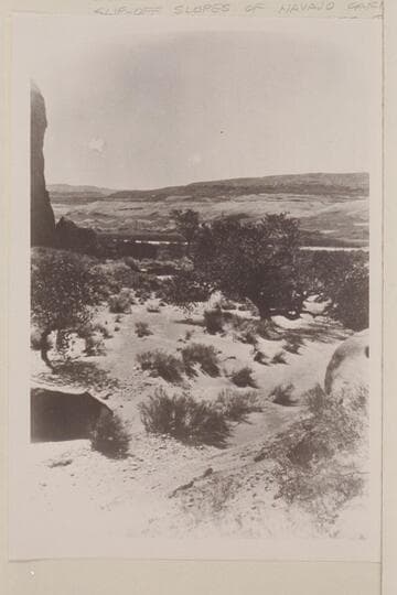 Rounded Wall, "Views on the Colorado River", Glen Canon Series