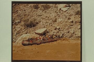 Georgie White's 3-boloney outfit in President Harding Rapid