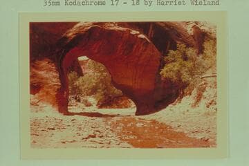 Coyote Natural Bridge in Coyote Gulch