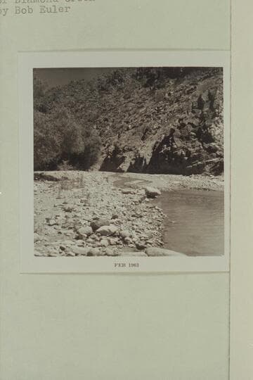 Mouth of Diamond Creek