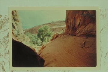 Entrance to "Chamber of Darkness".  Approximately 3.5 miles up the Escalante from 25 Mile Wash, left bank