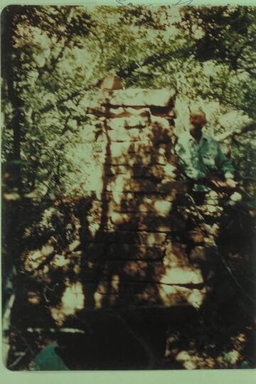 In oaks on upper Schock bar, Mile 110.6., right bank. Shows Dr. Schock's dugout and fireplace