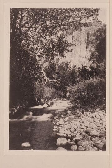 Print from half a stereo: Whirlpool Canon Series, "Mouth of Bishop's Creek."  No. 73.  The name "Bishop;s Creek" appears on some of the old maps but it is generally known as "Jones Hole Creek."