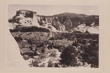 Up into Surprise Valley from the trail entering it from the Bald Rock Creek side.  Navajo Mountain at top