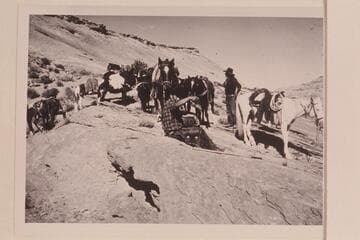 Trail party resting at top of divide between Bald Rock and Cha Canyon.  Dan Lehi is center and Tobe Owl at right