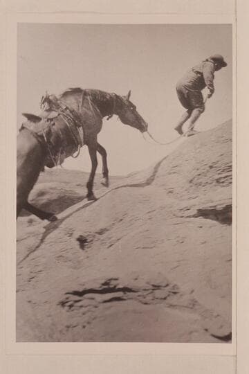 Ex-President Theodore Roosevelt.  Trail to Rainbow Bridge.  Returning from Bridge on trail east of Bald Rock Creek and north of Cha Butte