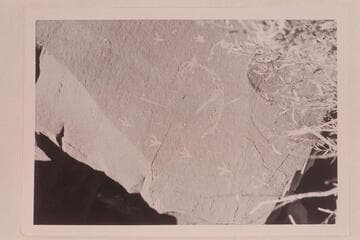 Inscriptions near San Juan River