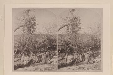 U in Tats. The Present of a Necklace