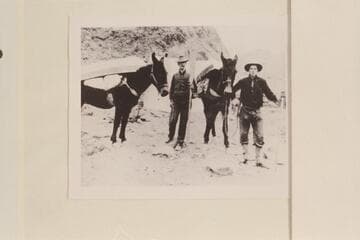 Men and equipment used in the mapping of the Grand Canyon.  Bwtween the mules in William [J?F?] Forster.  The other man is Elliott whose name is at Elves Chasm