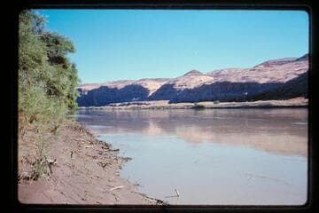 Up from lower end of bar, Camp Stone