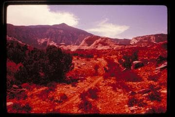 Trail north near Beaver Creek